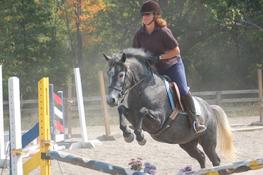Ina schooling over fences